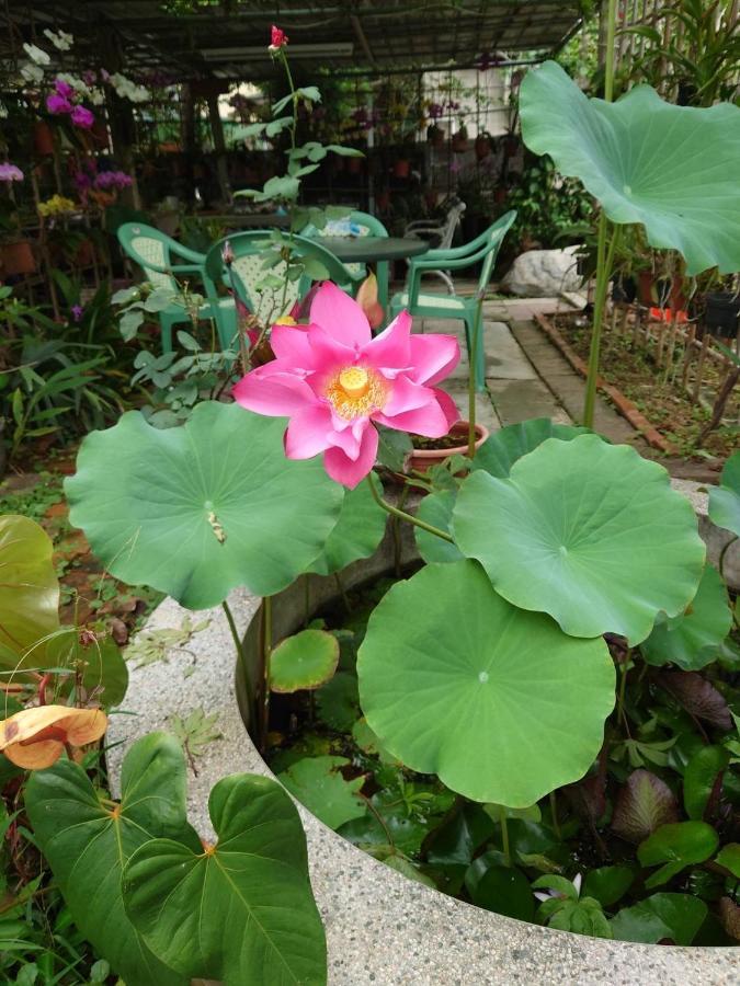 Garden Hostel Minxiong Ngoại thất bức ảnh