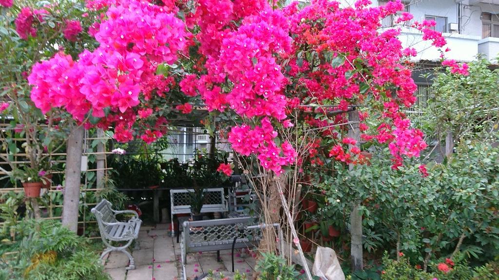 Garden Hostel Minxiong Ngoại thất bức ảnh
