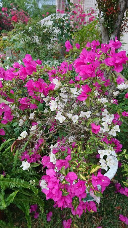 Garden Hostel Minxiong Ngoại thất bức ảnh